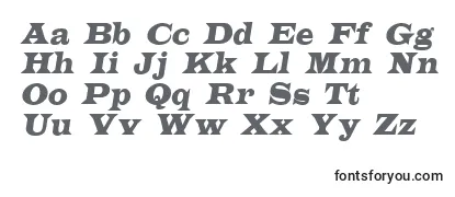 ALatinoItalic Font