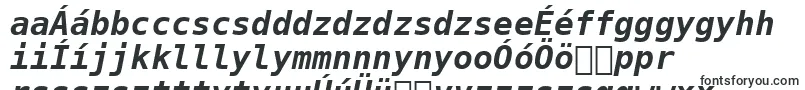 BitstreamVeraSansMonoBoldOblique Font – Hungarian Fonts
