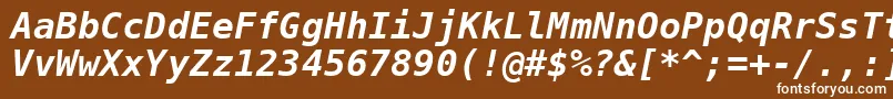 BitstreamVeraSansMonoBoldOblique Font – White Fonts on Brown Background
