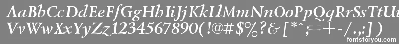 UkrainiangoudyoldBolditalic-fontti – valkoiset fontit harmaalla taustalla