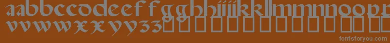 SpanishRoundBookhand16thC-fontti – harmaat kirjasimet ruskealla taustalla