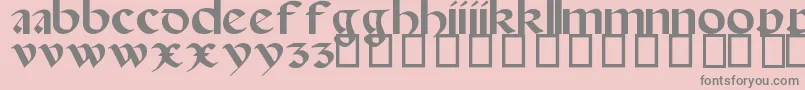 SpanishRoundBookhand16thC Font – Gray Fonts on Pink Background