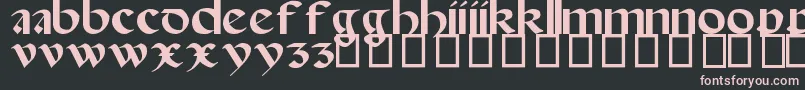 SpanishRoundBookhand16thC Font – Pink Fonts on Black Background