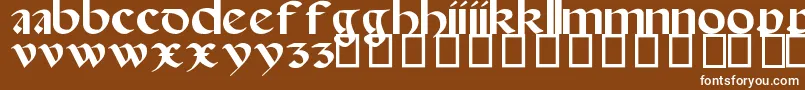 SpanishRoundBookhand16thC-Schriftart – Weiße Schriften auf braunem Hintergrund