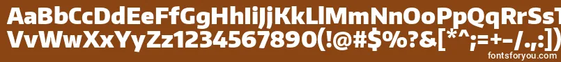 フォントEncodesansnarrowBlack – 茶色の背景に白い文字