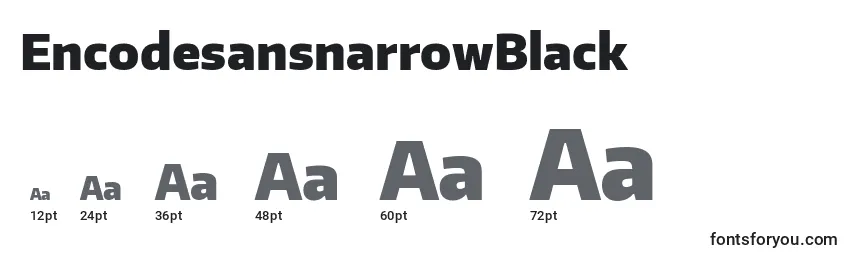 EncodesansnarrowBlack Font Sizes