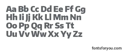 EncodesansnarrowBlack Font