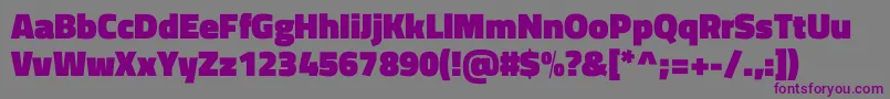TitilliumwebBlack Font – Purple Fonts on Gray Background