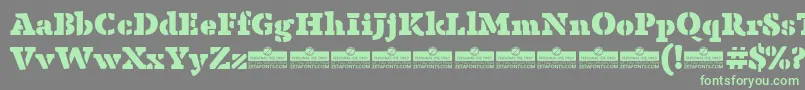 AnaphoraStencilFatTrial Font – Green Fonts on Gray Background