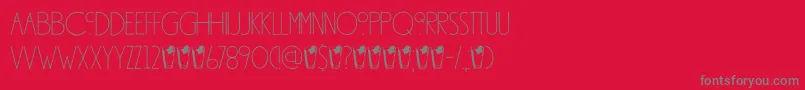 DkSouthsideFizz Font – Gray Fonts on Red Background