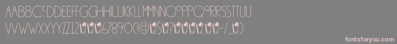 DkSouthsideFizz-Schriftart – Rosa Schriften auf grauem Hintergrund
