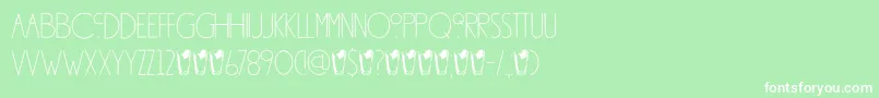 DkSouthsideFizz Font – White Fonts on Green Background