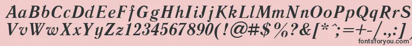 フォントLiteraturnayaBoldItalic.001.001 – ピンクの背景に黒い文字