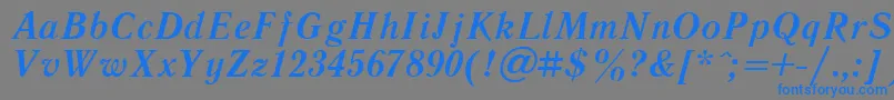 フォントLiteraturnayaBoldItalic.001.001 – 灰色の背景に青い文字