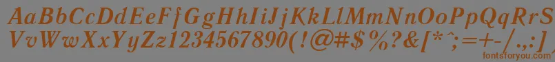 LiteraturnayaBoldItalic.001.001 Font – Brown Fonts on Gray Background