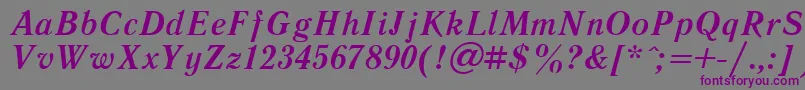 LiteraturnayaBoldItalic.001.001 Font – Purple Fonts on Gray Background