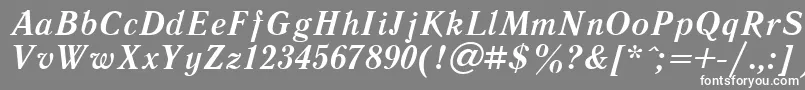 フォントLiteraturnayaBoldItalic.001.001 – 灰色の背景に白い文字