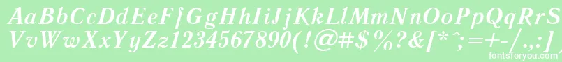 LiteraturnayaBoldItalic.001.001 Font – White Fonts on Green Background