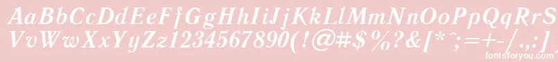 フォントLiteraturnayaBoldItalic.001.001 – ピンクの背景に白い文字