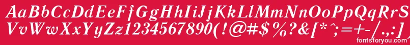 フォントLiteraturnayaBoldItalic.001.001 – 赤い背景に白い文字