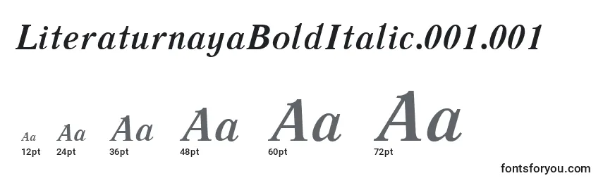 LiteraturnayaBoldItalic.001.001 Font Sizes