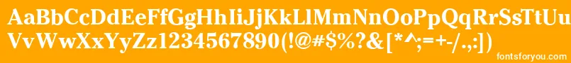 フォントCheltenhamBold – オレンジの背景に白い文字