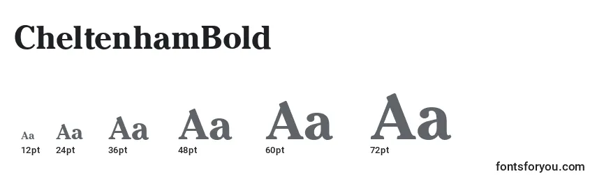 CheltenhamBold Font Sizes