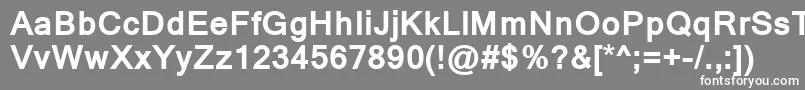 フォントKartikaBold – 灰色の背景に白い文字