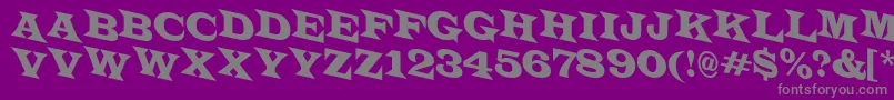 LatinotitulspdnRegular Font – Gray Fonts on Purple Background