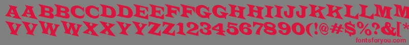 LatinotitulspdnRegular Font – Red Fonts on Gray Background