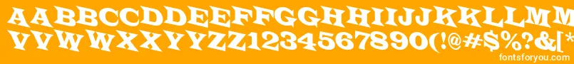 En savoir plus sur la police LatinotitulspdnRegular Police LatinotitulspdnRegular – polices blanches sur fond orange