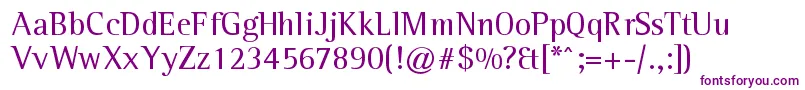 Leftistmonoserif Font – Purple Fonts