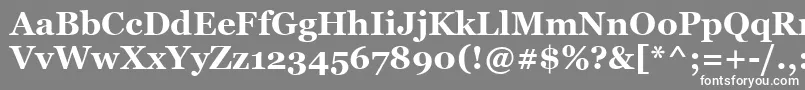 フォントVaniBold – 灰色の背景に白い文字