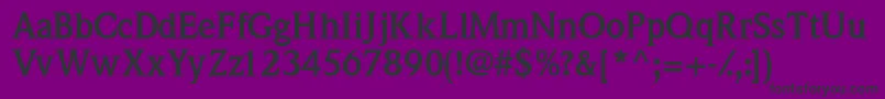 QuintessencesskBold Font – Black Fonts on Purple Background