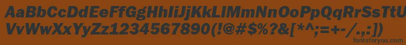 FranklingothheavyattItalic Font – Black Fonts on Brown Background