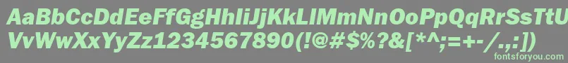 FranklingothheavyattItalic Font – Green Fonts on Gray Background