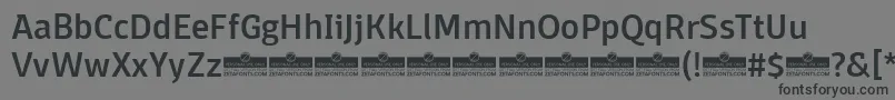 Шрифт DomotikaMediumTrial – чёрные шрифты на сером фоне