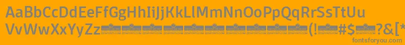 DomotikaMediumTrial Font – Gray Fonts on Orange Background