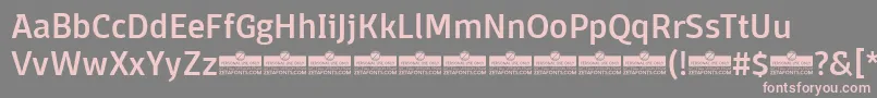 フォントDomotikaMediumTrial – 灰色の背景にピンクのフォント