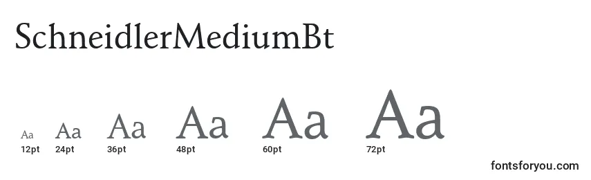 Размеры шрифта SchneidlerMediumBt