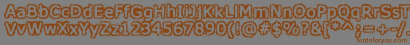 HoneyISpiltVerdana Font – Brown Fonts on Gray Background