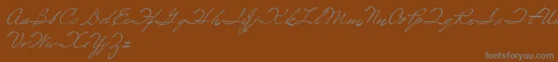 Spirulina Font – Gray Fonts on Brown Background