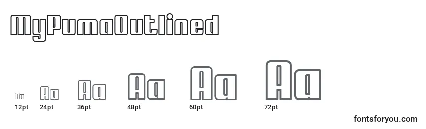 MyPumaOutlined Font Sizes