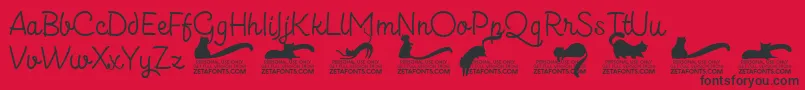 Kittenslantmonolinetrial Font – Black Fonts on Red Background