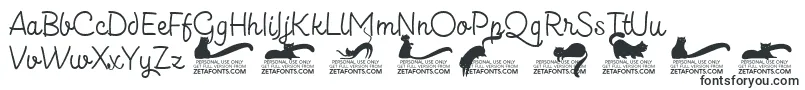 Kittenslantmonolinetrial Font – Fonts for VK