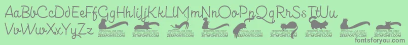 Kittenslantmonolinetrial Font – Gray Fonts on Green Background