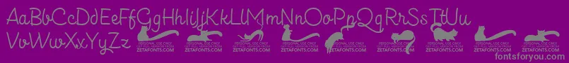 Шрифт Kittenslantmonolinetrial – серые шрифты на фиолетовом фоне