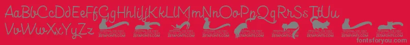 Więcej informacji o czcionce Kittenslantmonolinetrial Czcionka Kittenslantmonolinetrial – szare czcionki na czerwonym tle