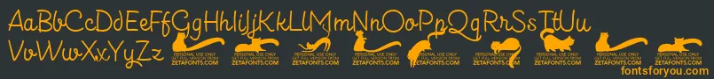 Kittenslantmonolinetrial Font – Orange Fonts on Black Background