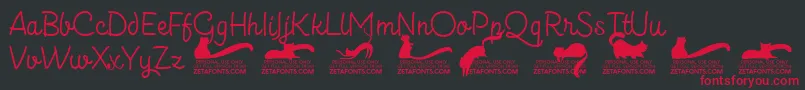 Kittenslantmonolinetrial Font – Red Fonts on Black Background